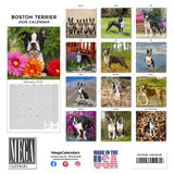 Boston Terrier Wall Calendar 2026