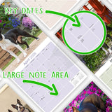 Boston Terrier Wall Calendar 2026