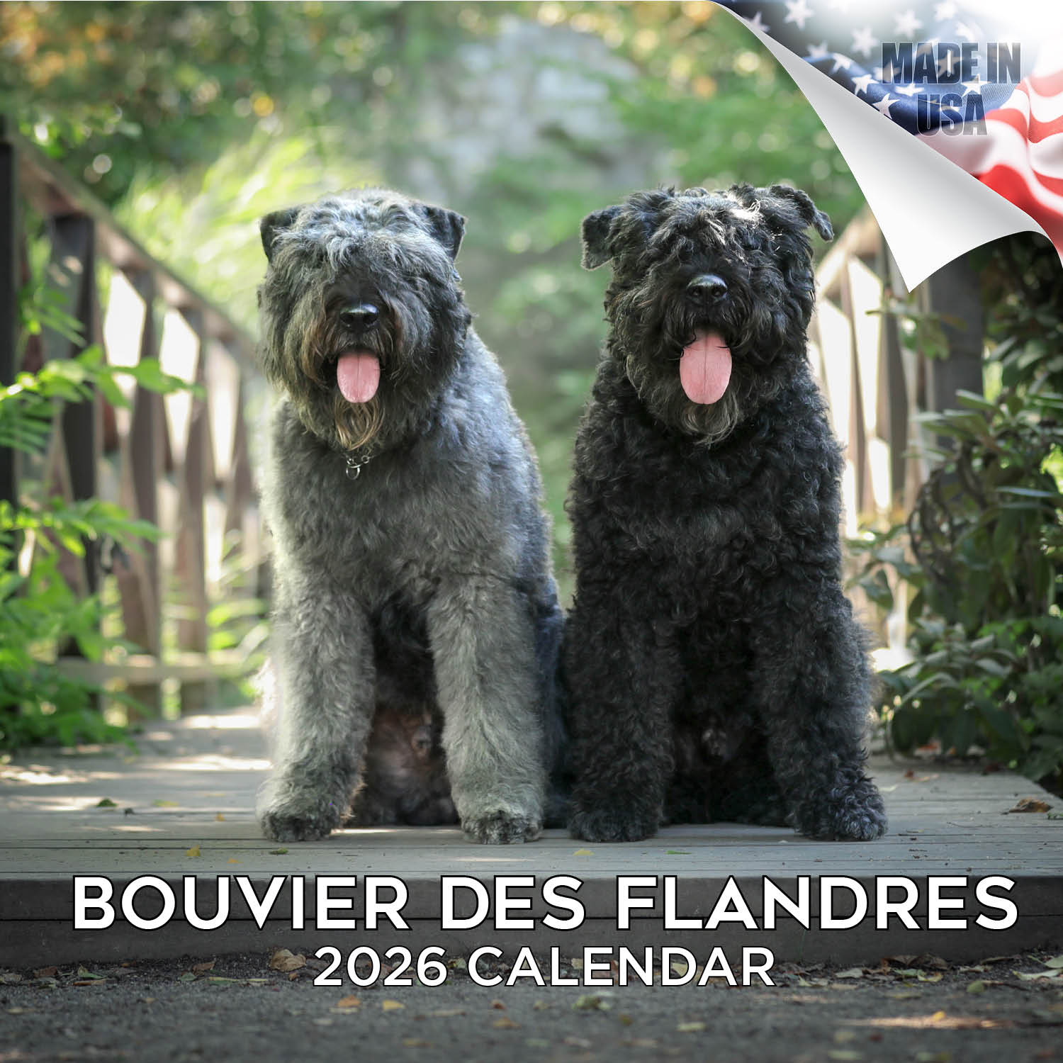 Bouvier de Flandres Calendar 2026