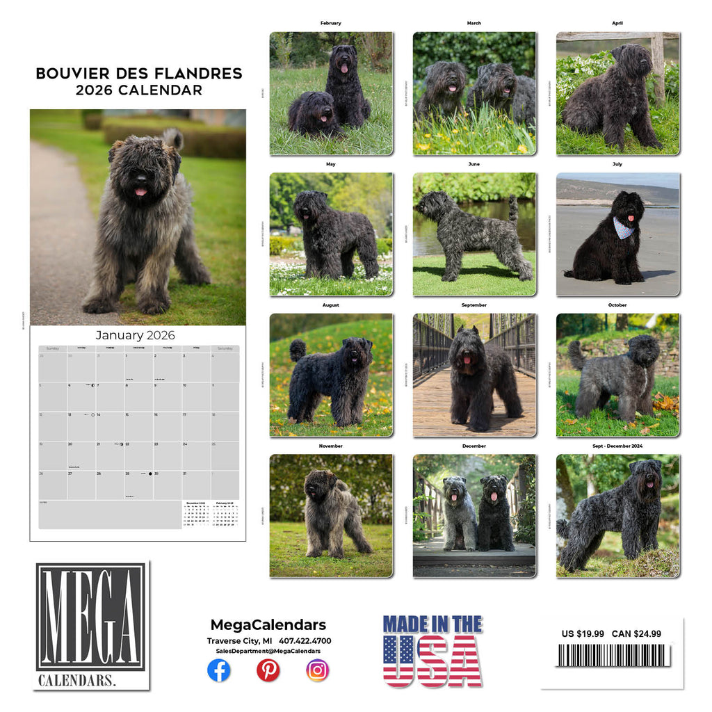 Bouvier de Flandres Calendar 2026