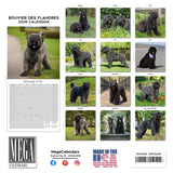 Bouvier de Flandres Calendar 2026