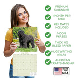 Bouvier de Flandres Calendar 2026