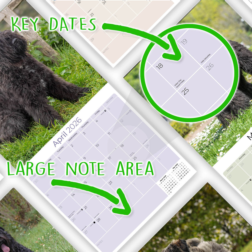 Bouvier de Flandres Calendar 2026