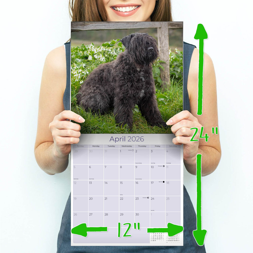 Bouvier de Flandres Calendar 2026