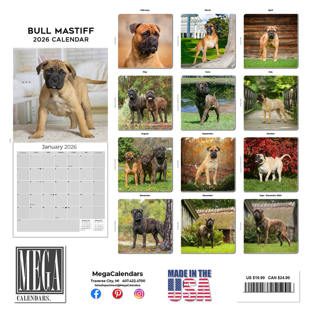 Bull Mastiff Calendar 2026