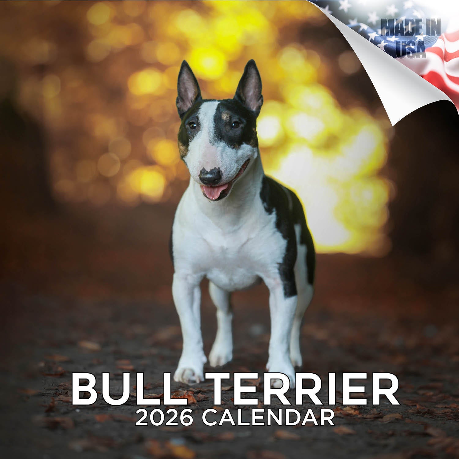 Bull Terrier Wall Calendar 2026