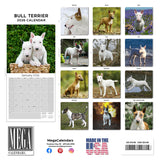 Bull Terrier Wall Calendar 2026