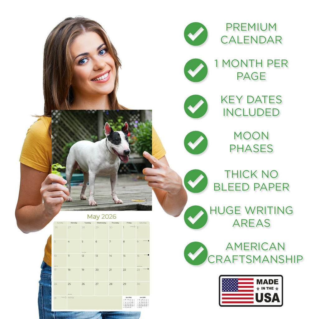 Bull Terrier Wall Calendar 2026