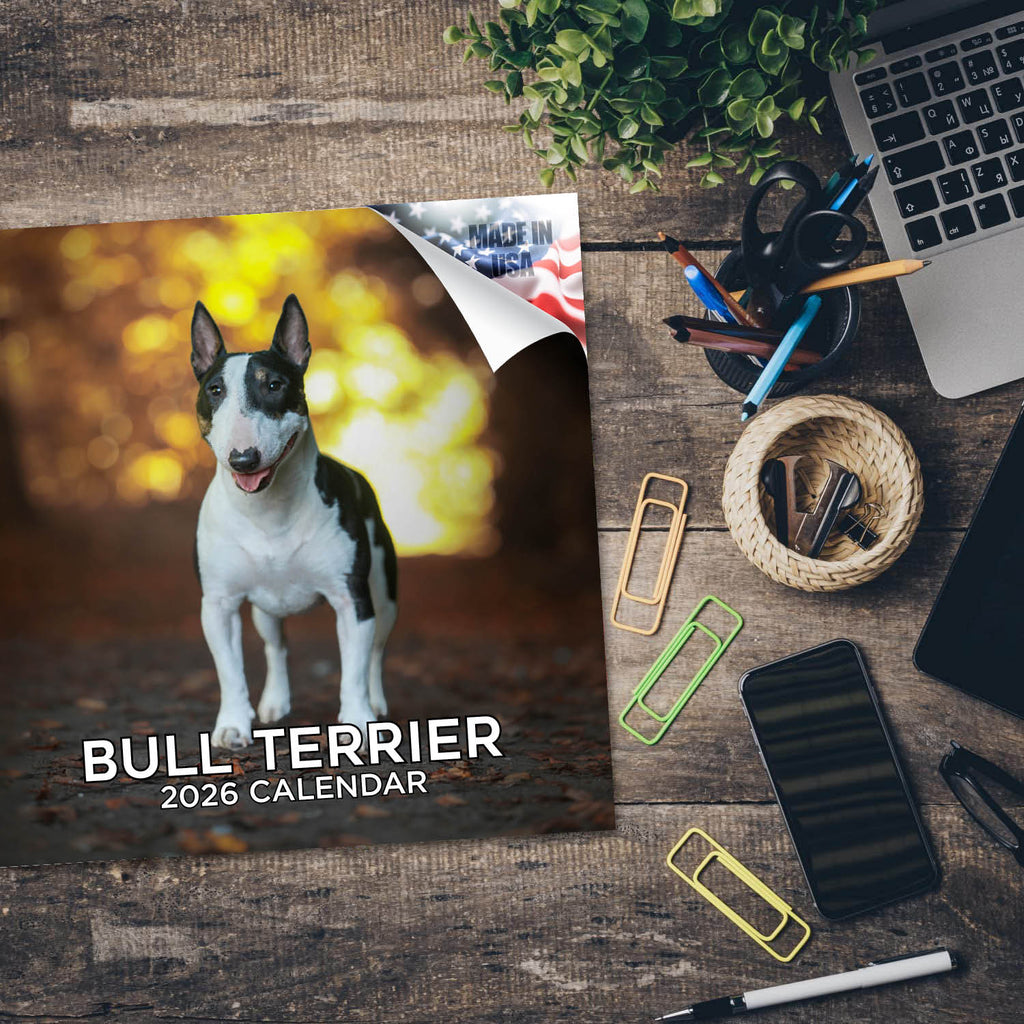 Bull Terrier Wall Calendar 2026