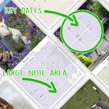 Bull Terrier Wall Calendar 2026
