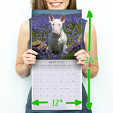 Bull Terrier Wall Calendar 2026