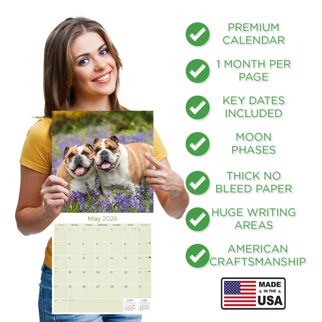 Bulldog Wall Calendar 2026