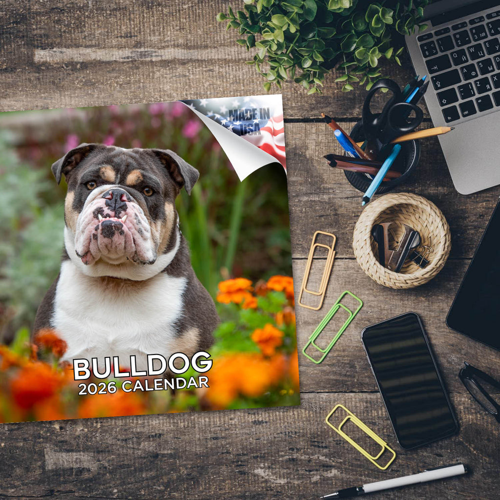 Bulldog Wall Calendar 2026