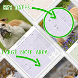Bulldog Wall Calendar 2026
