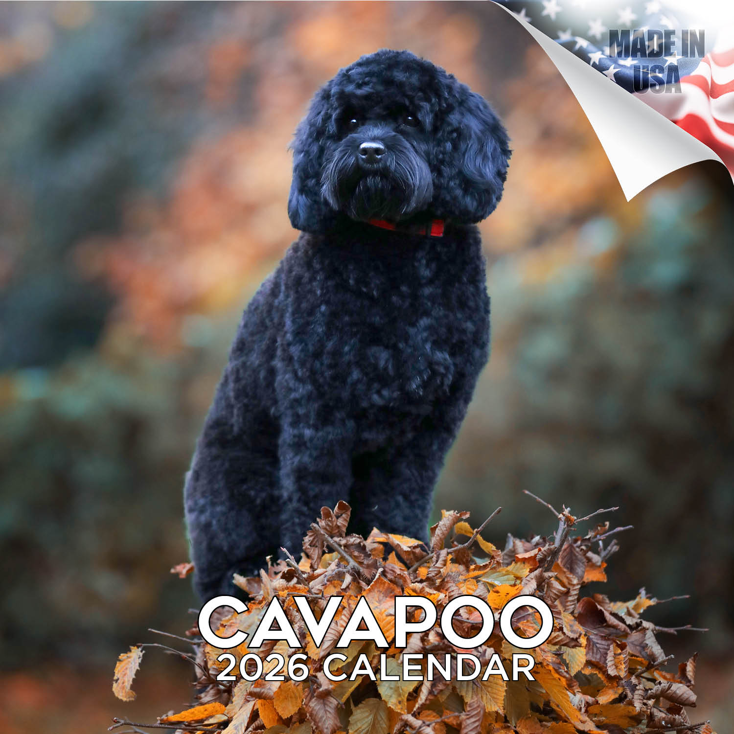 Cavapoo Calendar 2026