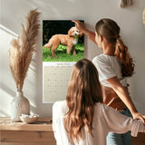Cavapoo Calendar 2026