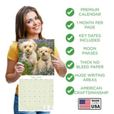 Cavapoo Calendar 2026