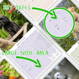 Cavapoo Calendar 2026