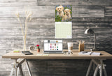 Cavapoo Calendar 2026