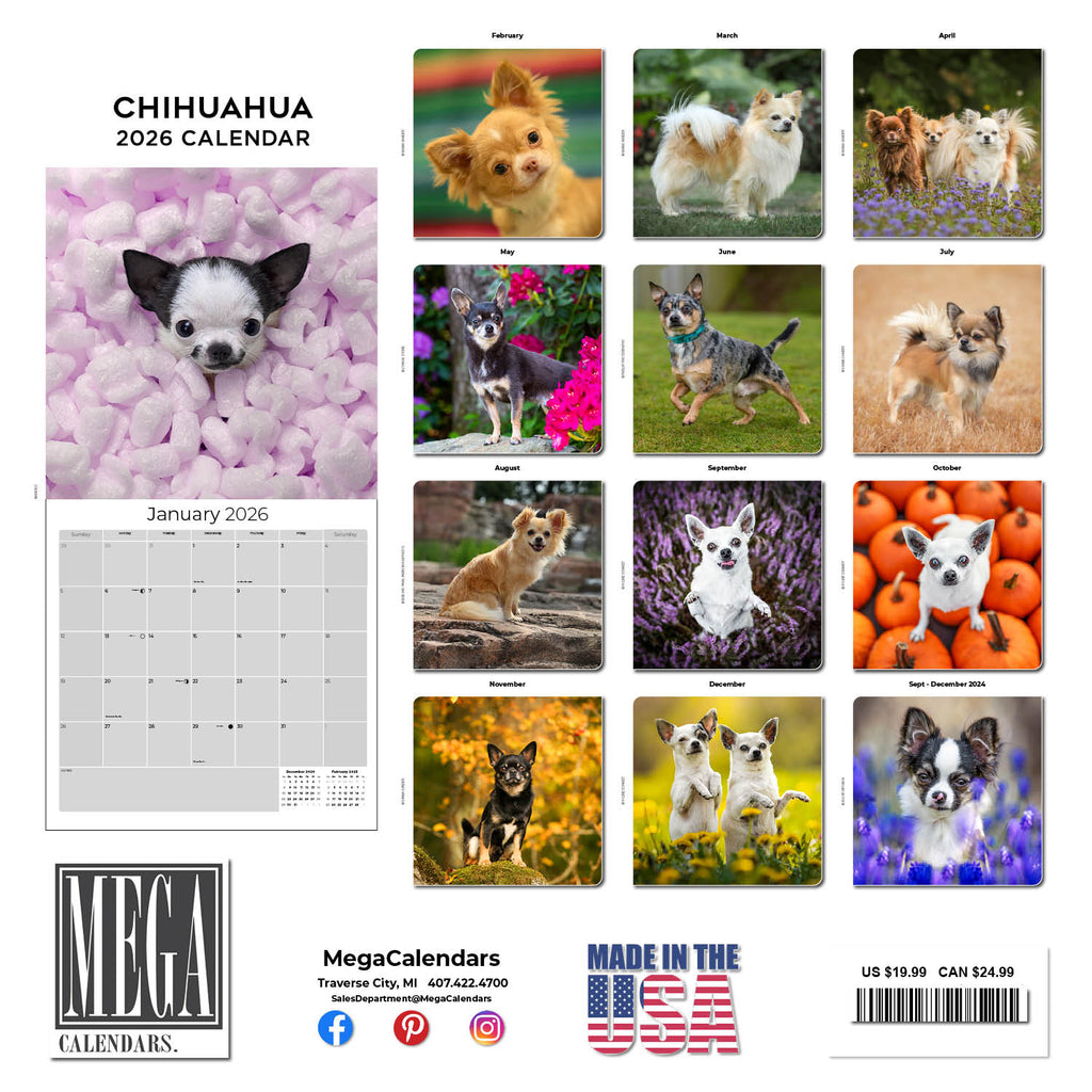 Chihuahua Wall Calendar 2026