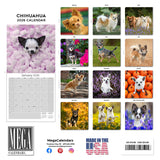 Chihuahua Wall Calendar 2026