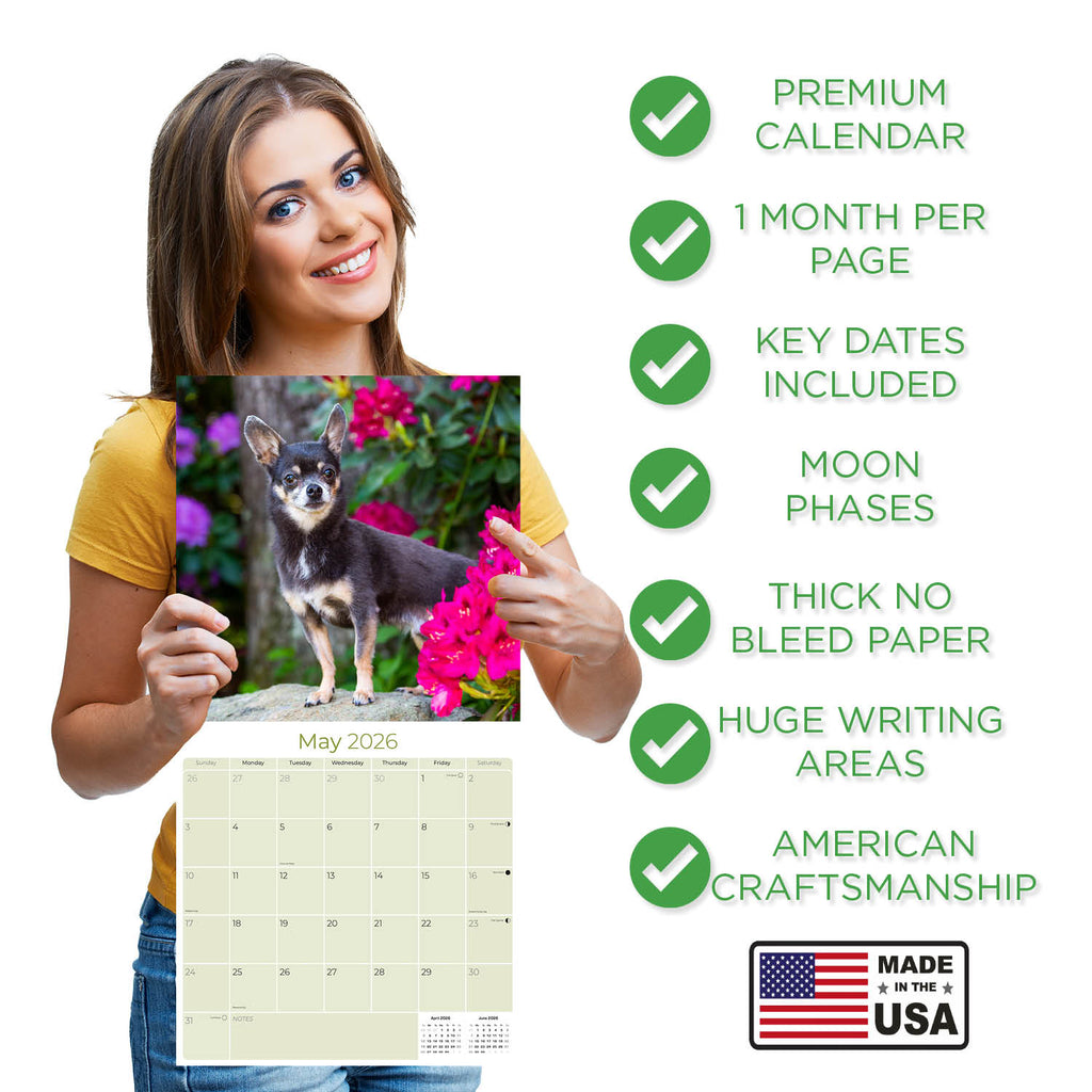 Chihuahua Wall Calendar 2026