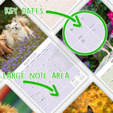 Chihuahua Wall Calendar 2026