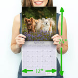Chihuahua Wall Calendar 2026
