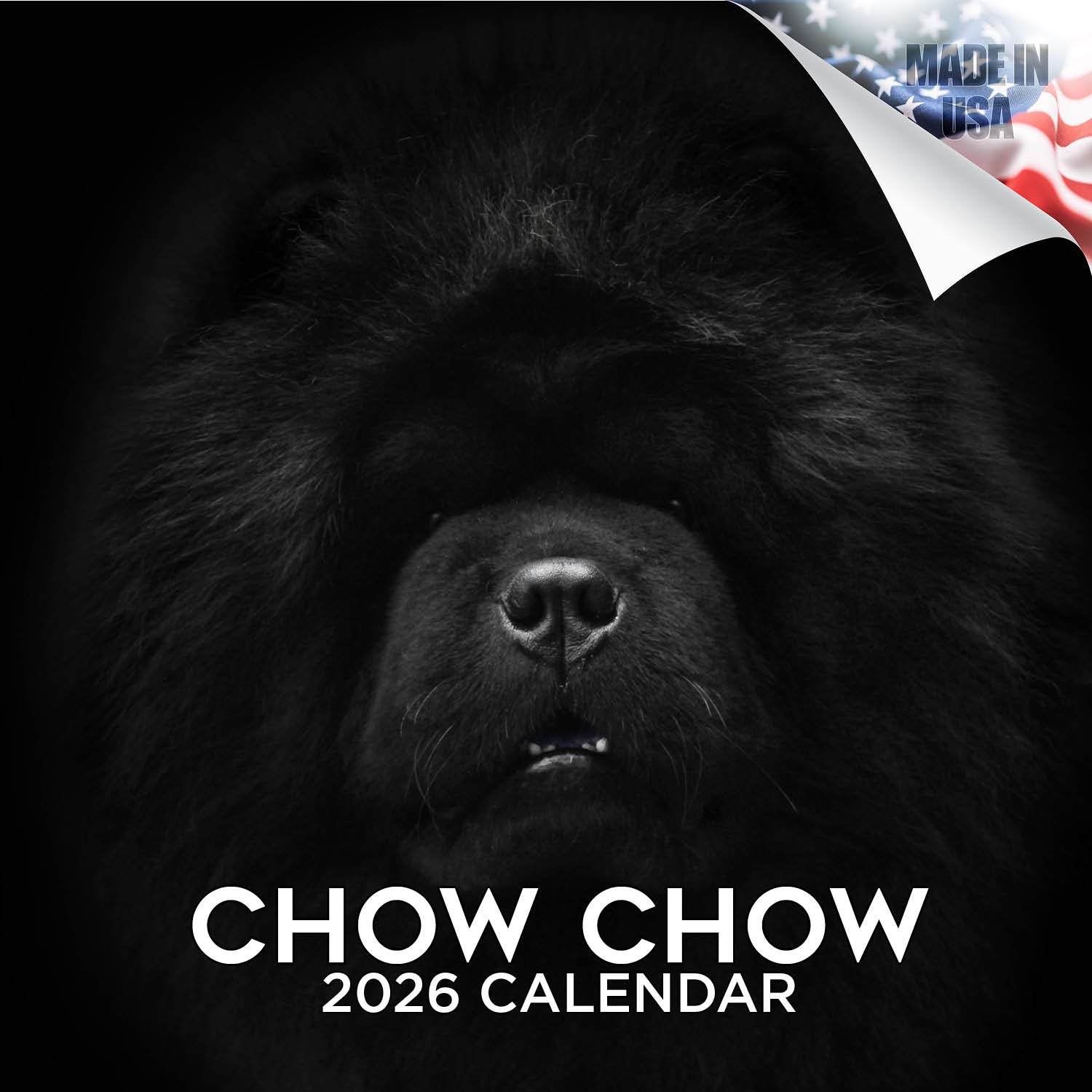 Chow Chow Wall Calendar 2026