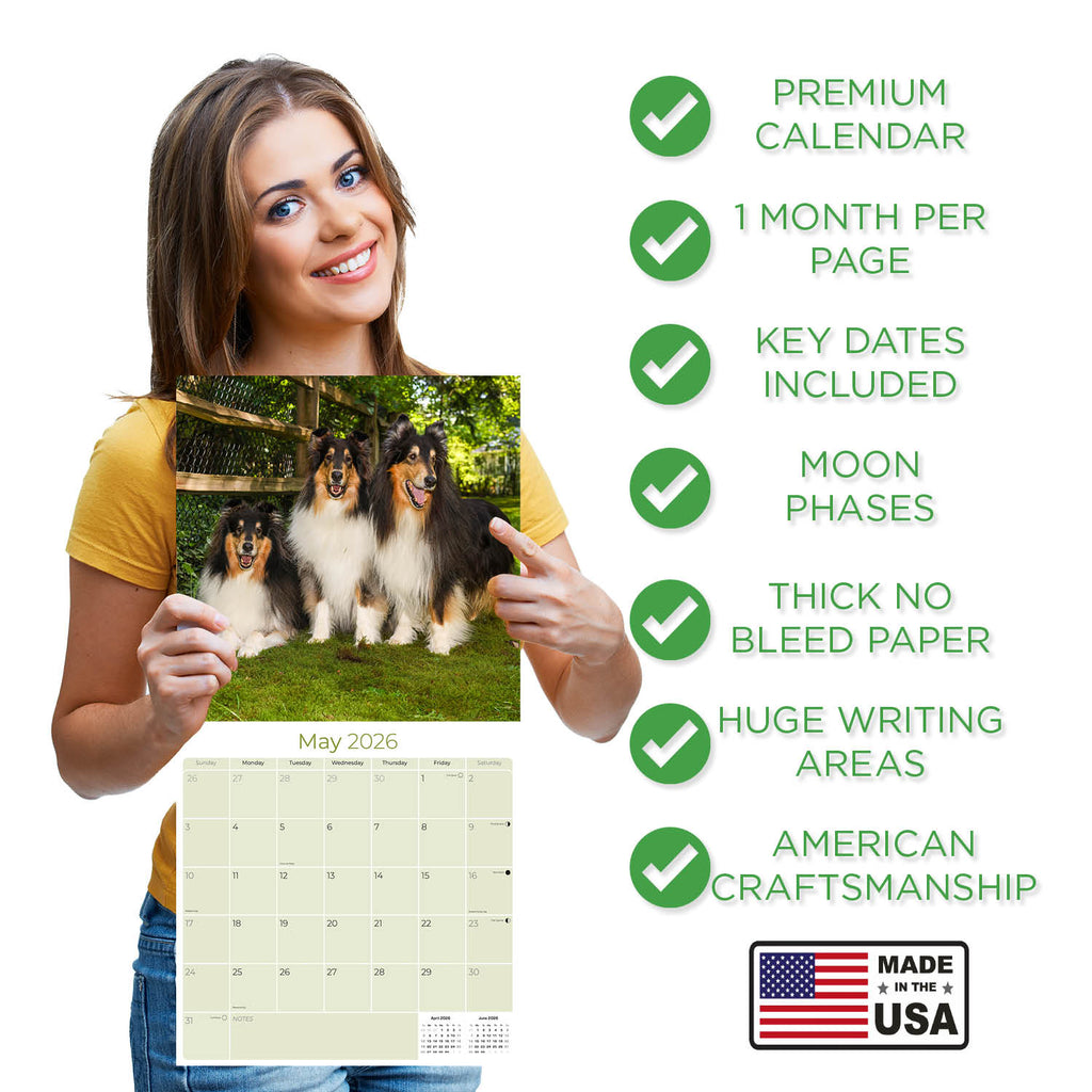 Collie Wall Calendar 2026