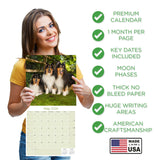 Collie Wall Calendar 2026