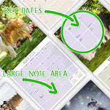 Collie Wall Calendar 2026