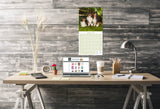Collie Wall Calendar 2026