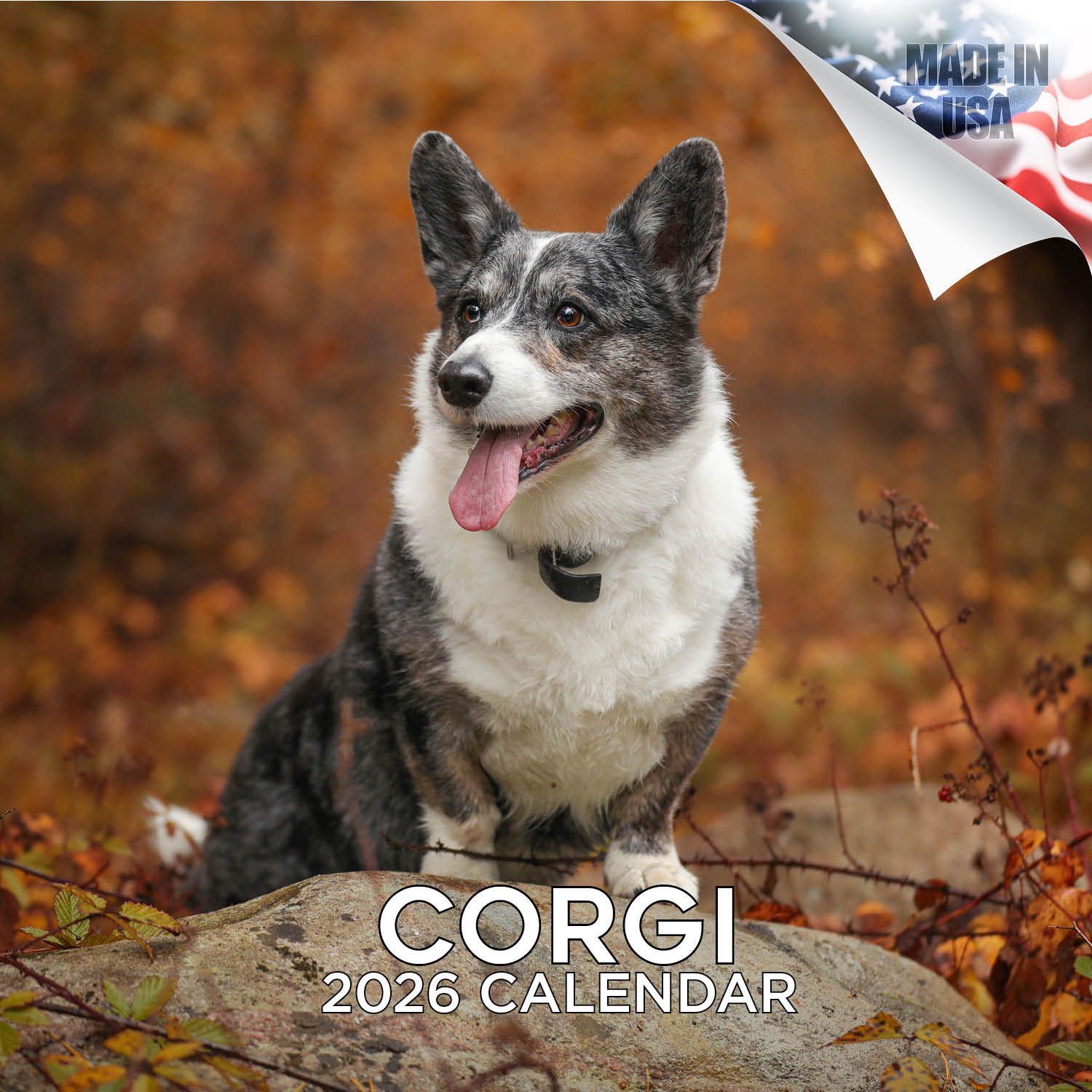 Corgi Wall Calendar 2026
