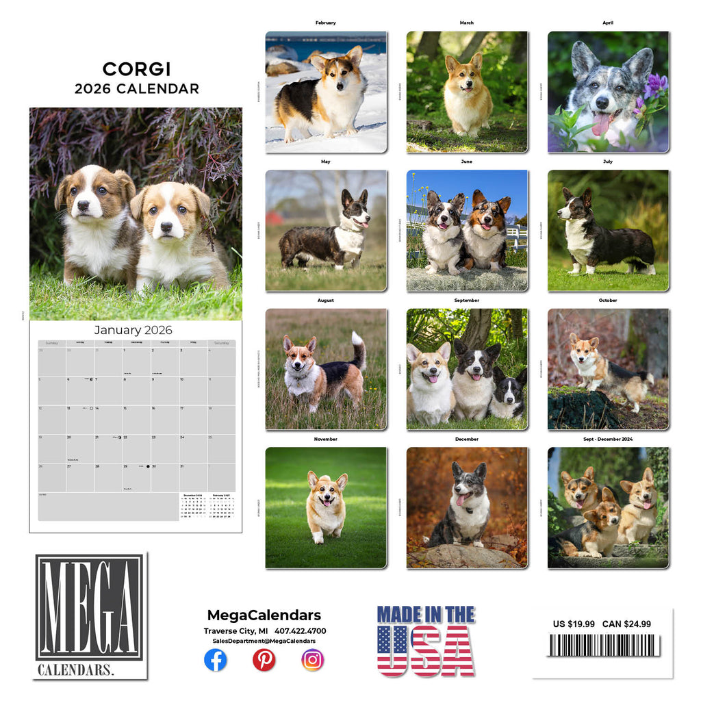 Corgi Wall Calendar 2026
