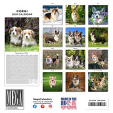 Corgi Wall Calendar 2026