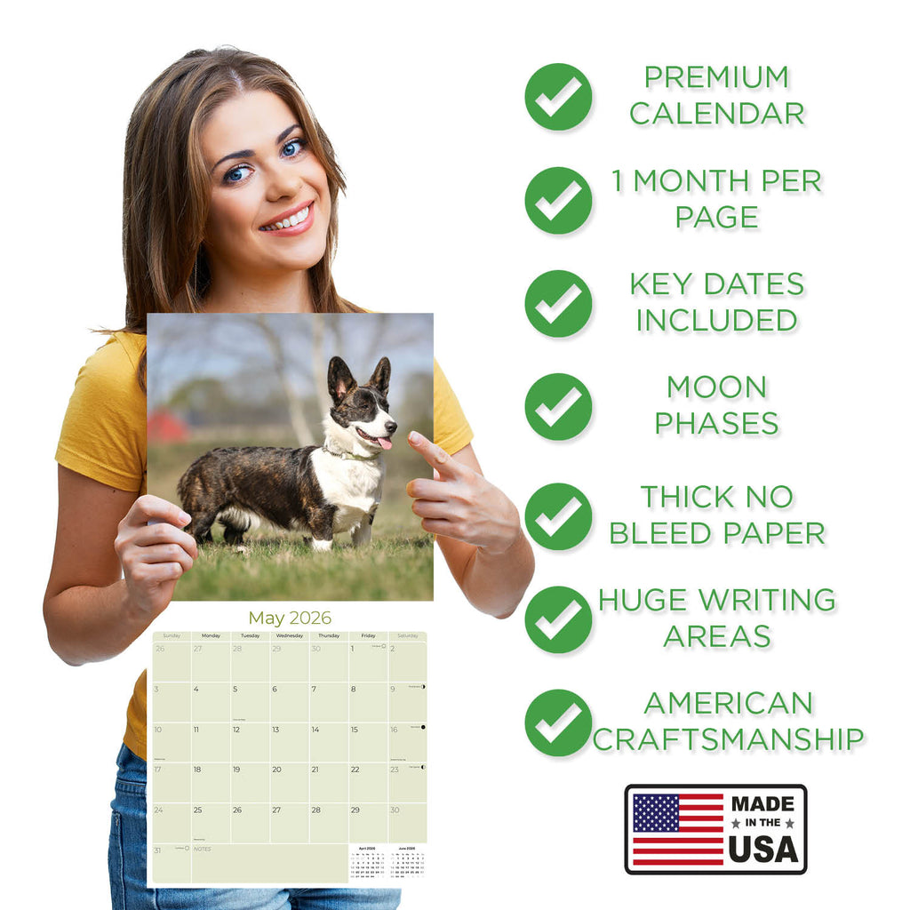 Corgi Wall Calendar 2026