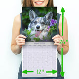 Corgi Wall Calendar 2026