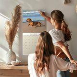 Dachshund Wall Calendar 2026
