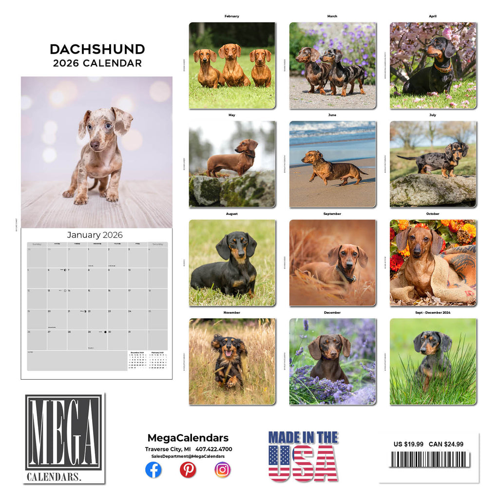 Dachshund Wall Calendar 2026