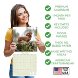 Dachshund Wall Calendar 2026