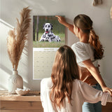 Dalmatian Wall Calendar 2026