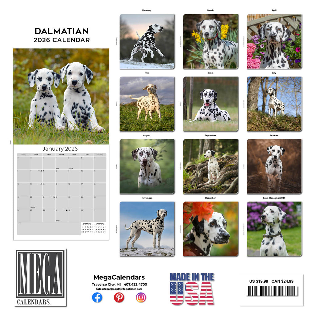 Dalmatian Wall Calendar 2026