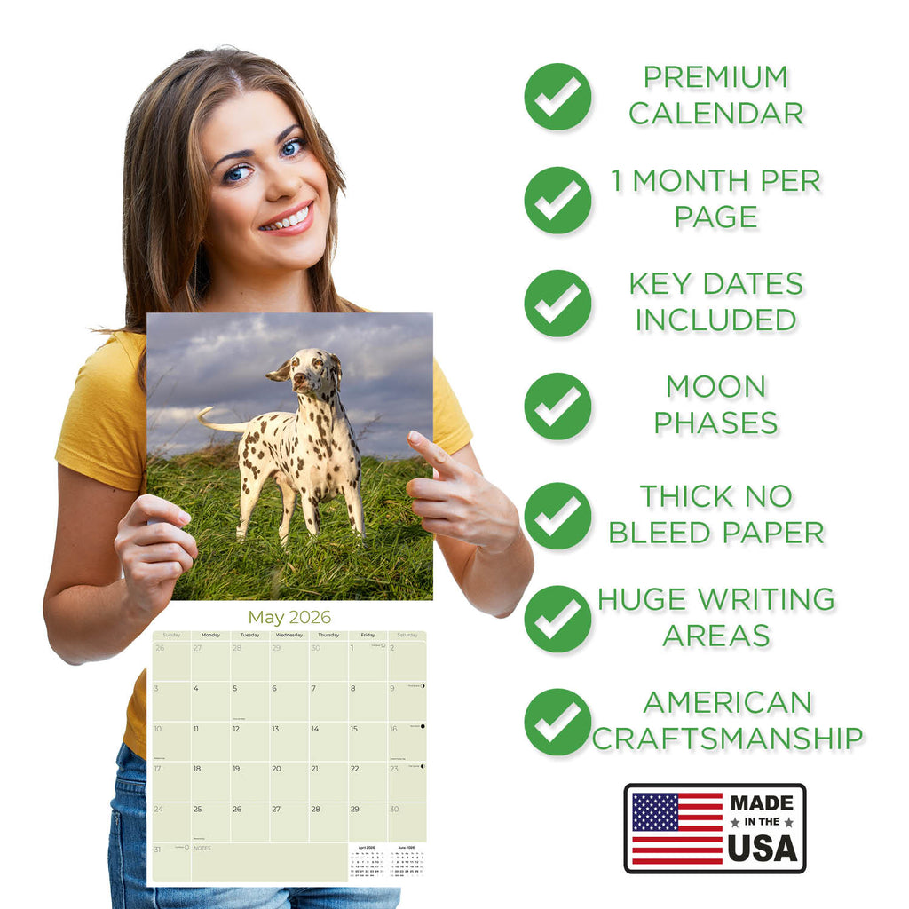 Dalmatian Wall Calendar 2026