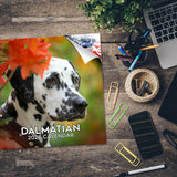 Dalmatian Wall Calendar 2026