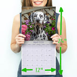 Dalmatian Wall Calendar 2026