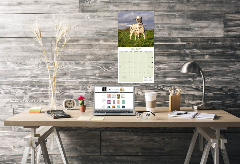 Dalmatian Wall Calendar 2026