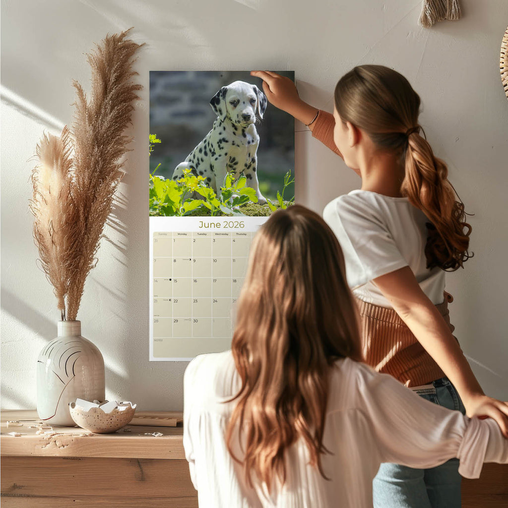 Dalmatian Puppies Wall Calendar 2026