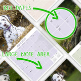 Dalmatian Puppies Wall Calendar 2026