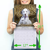 Dalmatian Puppies Wall Calendar 2026
